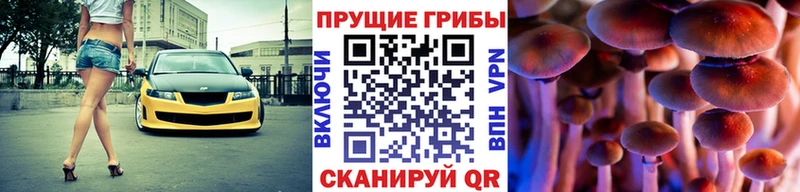 Галлюциногенные грибы GOLDEN TEACHER  Тара 