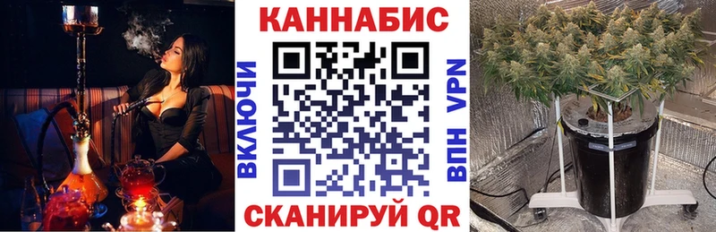 Шишки марихуана VHQ  ОМГ ОМГ ТОР  Тара  сколько стоит 